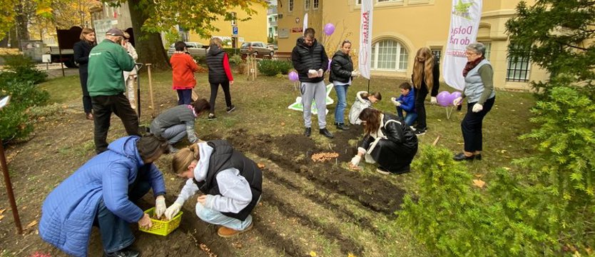 Zmieniamy Szczecin na dobre. Rozkręcamy „Krokusową rewolucję"