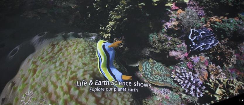Świat nauki w wielkiej kuli. Prezentacja planetarium w MCN