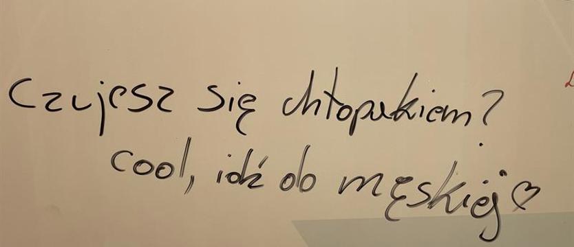 Głos pokolenia na ścianach... toalety. Manifest czy wandalizm?