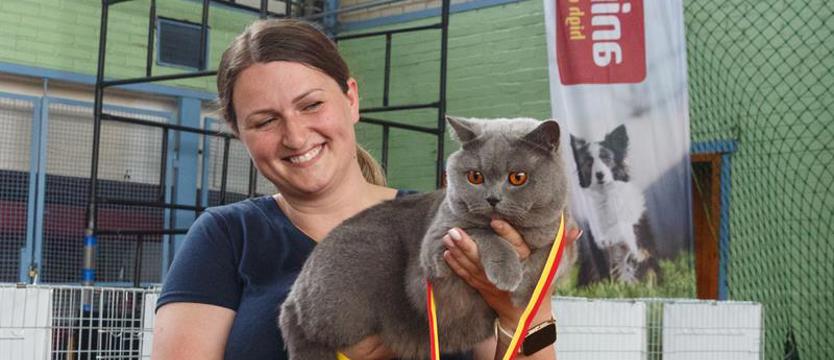 Międzynarodowa Wystawa Kotów Rasowych. Medalowy czas Ich Wysokości w Szczecinie