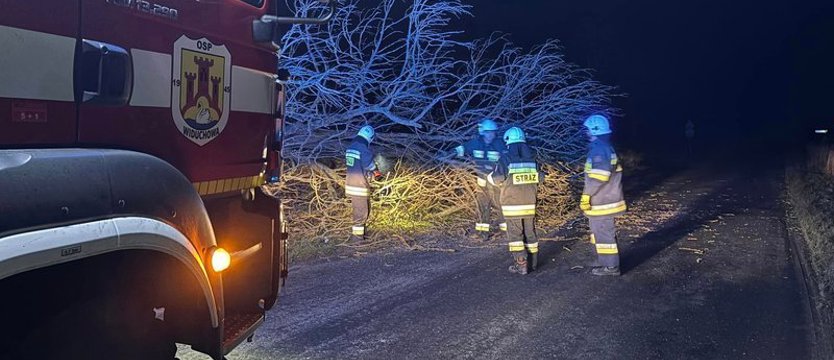 Ponad tysiąc interwencji strażaków w związku z silnym wiatrem