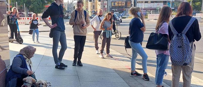 Żebranie metodą „na psa”. TOZ: „Nie wspierać procederu. Niech się nie opłaca”