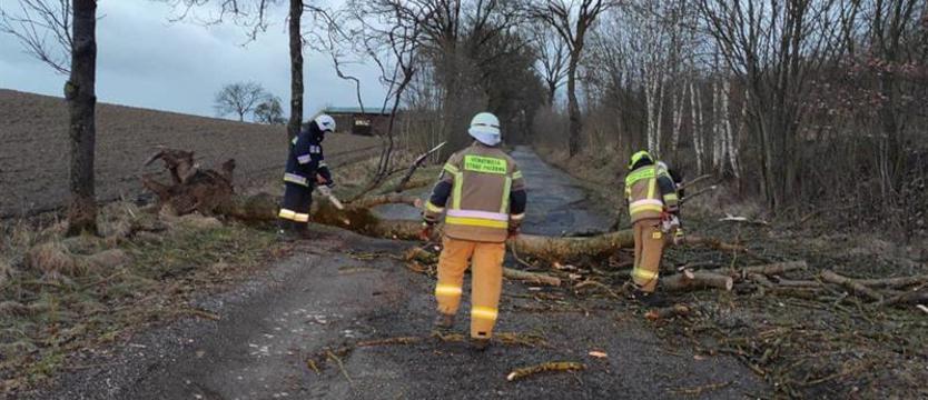 Walczą ze skutkami wichury w powiecie stargardzkim