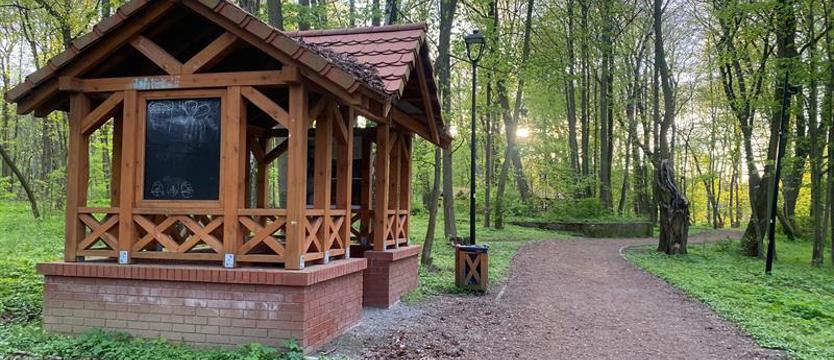 Zielony spacer. Sobota wśród drzew i krzewów