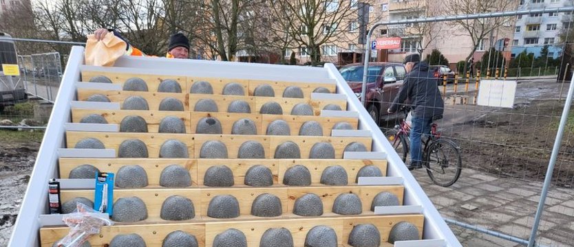 W szczecińskim parku postawiono wieżę dla jaskółek