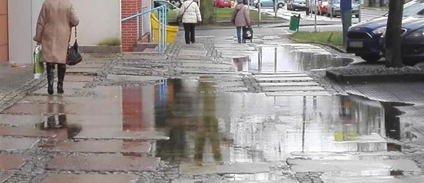 Chodnik sztandarowy dla floating garden? Radny: „Typowy szczeciński niedasizm”