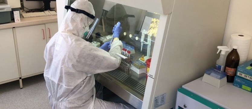 W Zachodniopomorskiem w poniedziałek ponad 800 przypadków koronawirusa