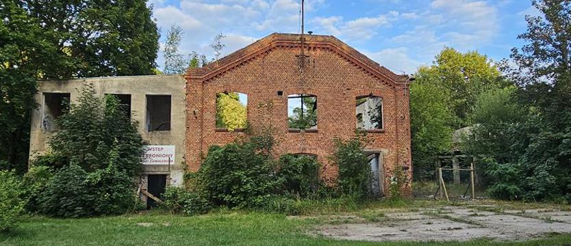 Bardzo groźne ruiny