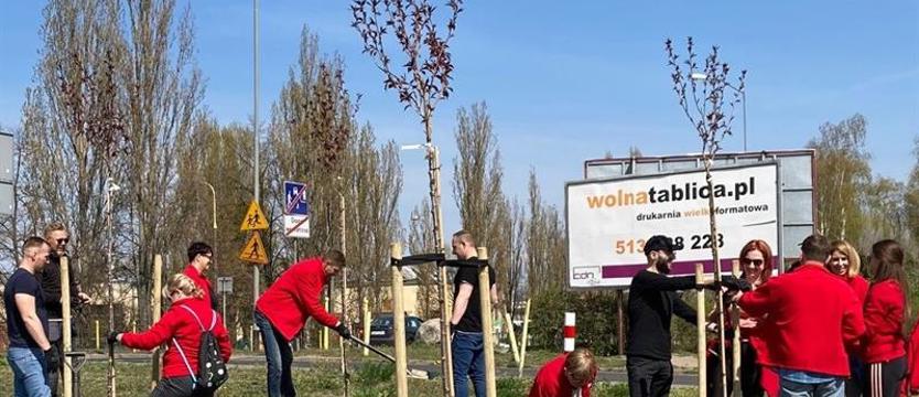 Zielona sześćdziesiątka