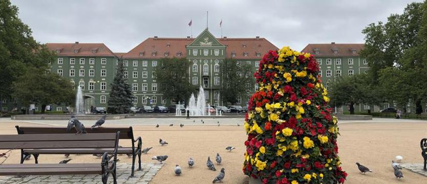 Magistrat szuka zastępcy dyrektora Wydziału Kultury