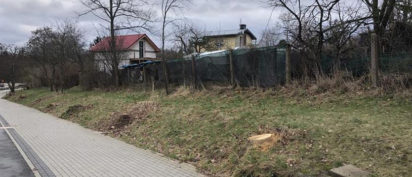 Szkoda drzew. Czytelnik: „Zbędna wycinka"