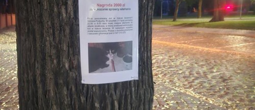 Co się wydarzyło w pewnej altanie? Nagroda za wskazanie sprawców rośnie