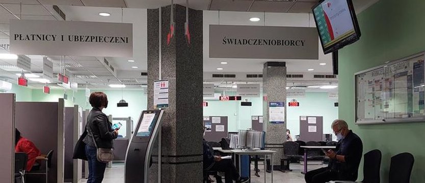 ZUS niedługo uruchomi wnioski