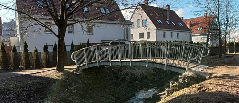 Już dzisiaj: Marsz w obronie 1000 drzew na Przygodnej w Szczecinie