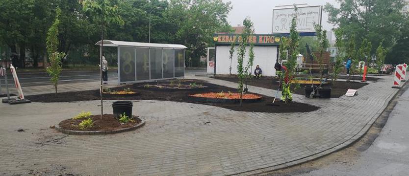 Skwer pełną parą