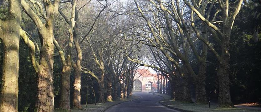 Spacer przez „park umarłych"