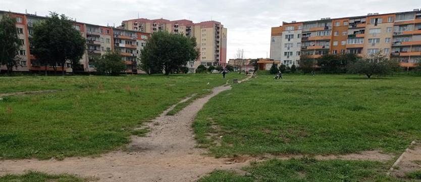 Czekanie na park