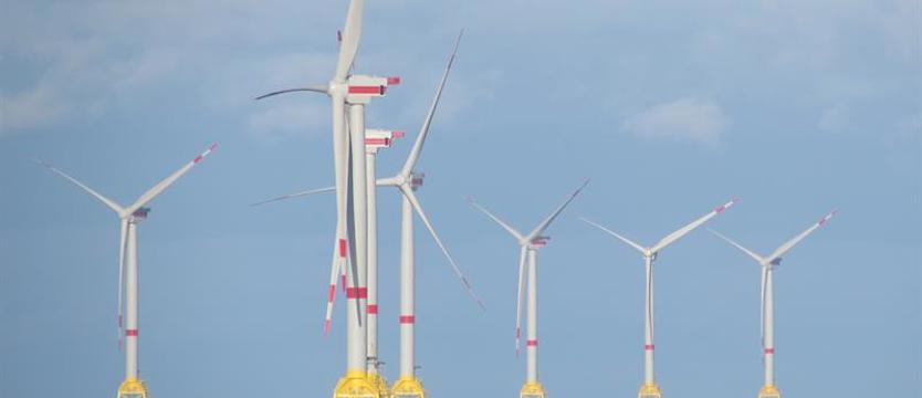 Offshore wind w centrum zainteresowania