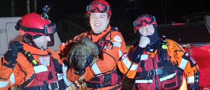 Ratownicy z Kołobrzegu przejechali całą Polskę i uratowali szczeniaka na Bugu