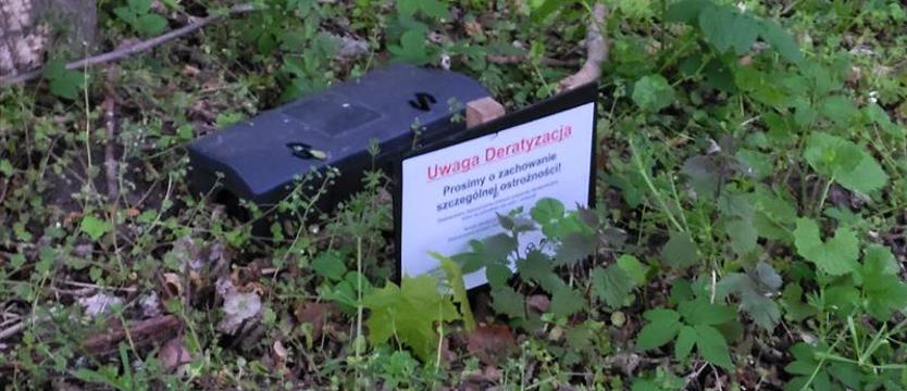 Niebezpieczne niedopatrzenie. Truli szczury, teraz trują psy?