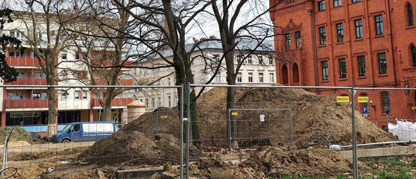 Na pl. Batorego drzewa w hałdach ziemi