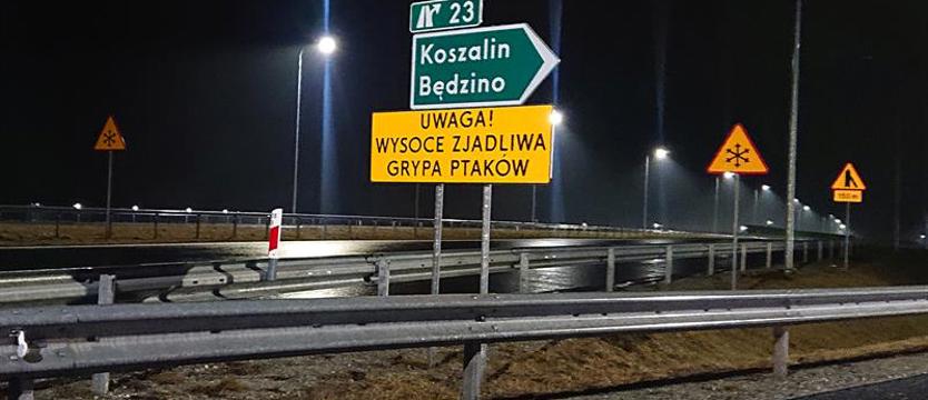 Ptasia grypa nadal groźna