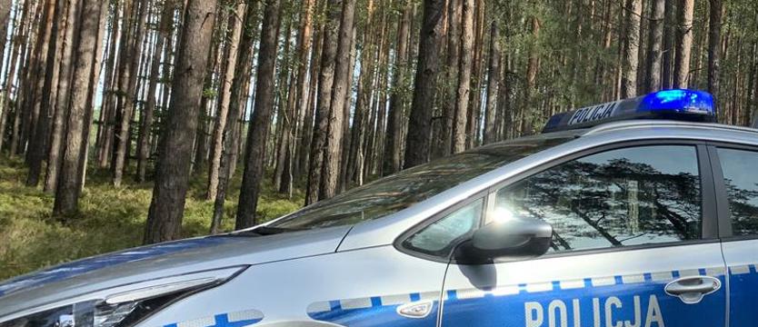 Na widok radiowozu skręcił w leśną drogę. Miał dwa powody