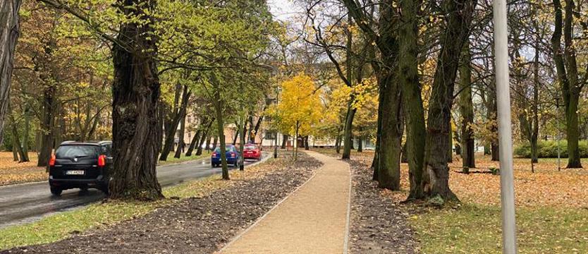 Spacer prostą ścieżką. Koniec prac w parku