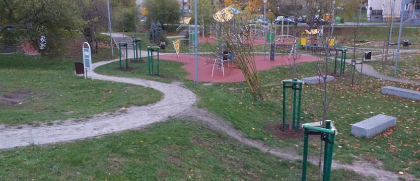 Nowe drzewa dla Szczecina
