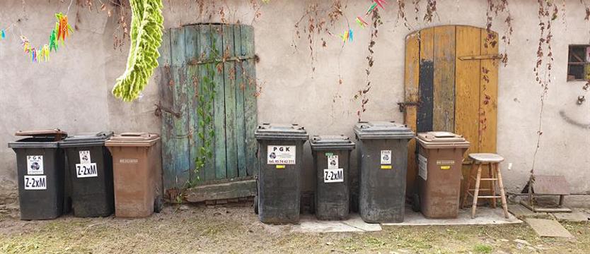Szczury wchodzą do mieszkania