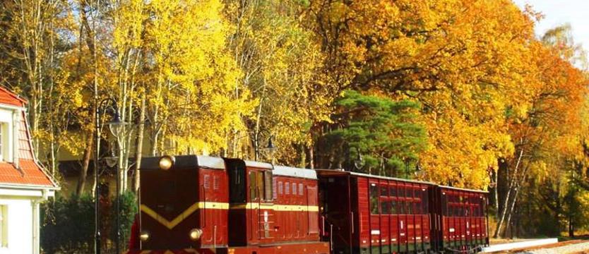 Weekend w regionie. Październikowe atrakcje