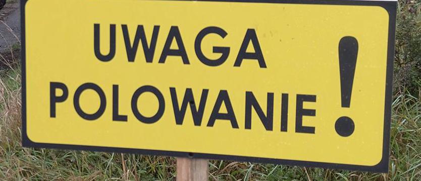 Myśliwy postrzelił naganiacza. Wyrok po polowaniu dla turystów z Francji