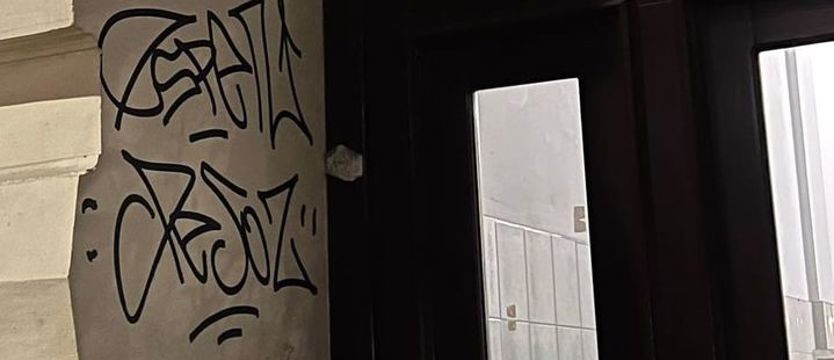 Wandal podczas ucieczki użył gazu pieprzowego wobec policjanta