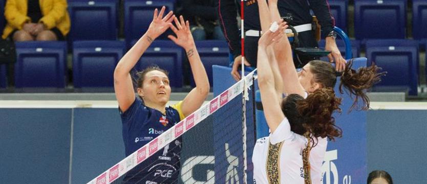 Siatkówka. Blagojević wraca do Tauron Ligi