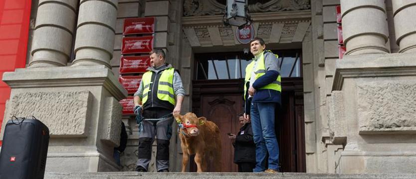 Rolnicy mają wrócić pod siedzibę wojewody w przyszłym tygodniu
