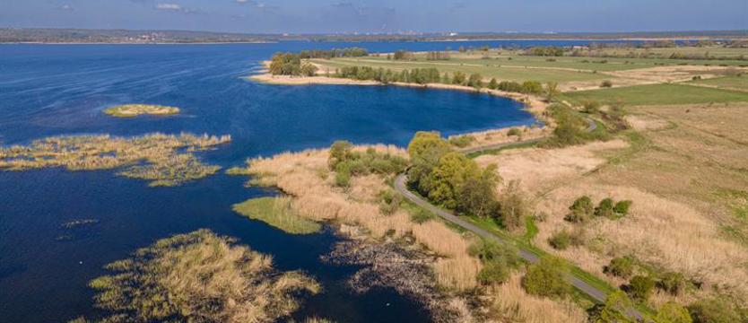 Kto truje jezioro Dąbie? Miejskie służby wezwane do kontroli