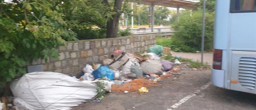 Dziki śmietnik w centrum kurortu