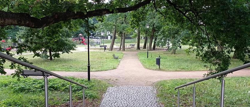 Czytelnicy, „Kurier" i szlachetna akcja. Ruszamy na krokusy!