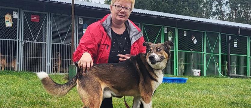 To były lepsze wakacje. Zbliża się VIII Sosnowicki Rajd na 6 Łapach