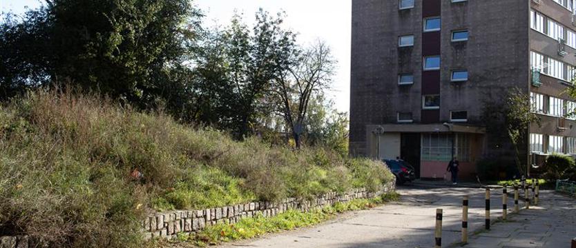 Mieszkańcy wstrząśnięci śmiercią młodej kobiety. Co się wydarzyło na ul. Wilczej?