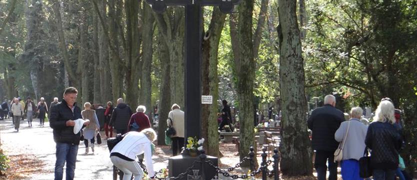 Spacer czwartkowy - od kasztanowej alei. Zieleń i spokój wieczny