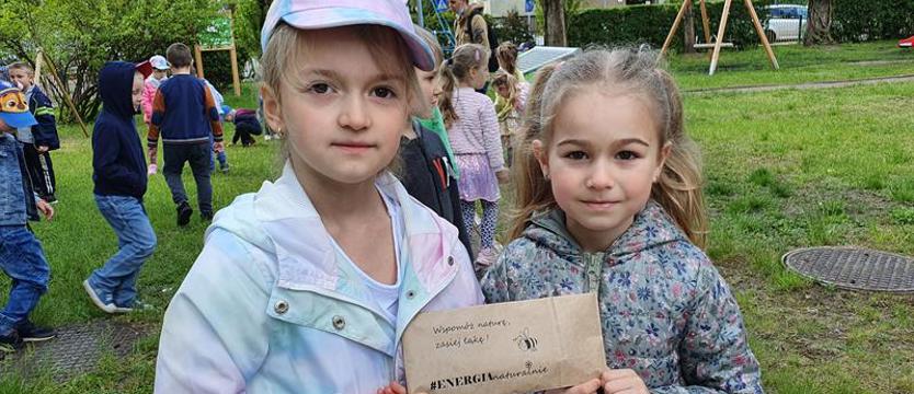 Wspomóż naturę, zasiej łąkę! Enea, dzieci, pszczoły i kwiaty