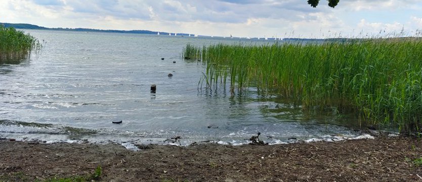 Tragedia nad Miedwiem. Nie żyje mężczyzna