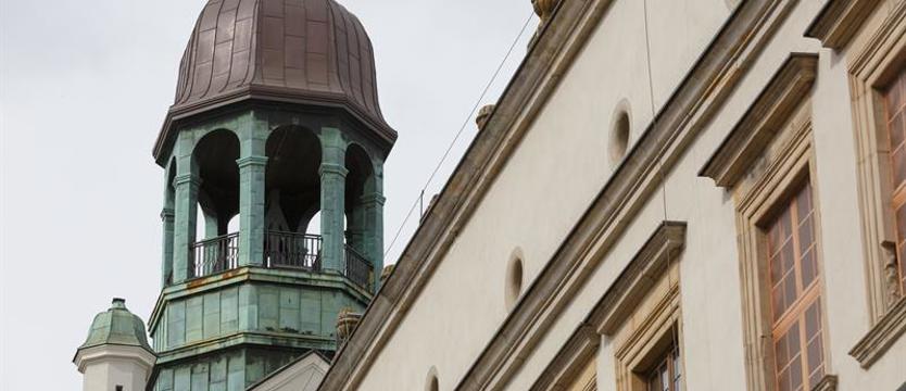W rocznicę urodzin Lubinusa. Filmy i spacer z przewodnikiem