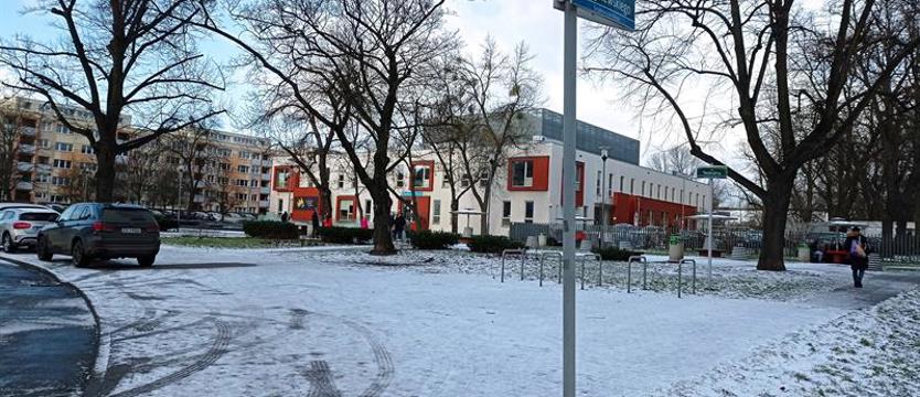 Pierwsza sesja w tym roku. WOŚP, regulaminy i bezdomne zwierzęta