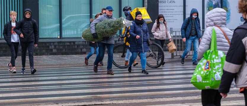 Przerwać czarną serię. Rozsądek, nie pierwszeństwo [SONDA]