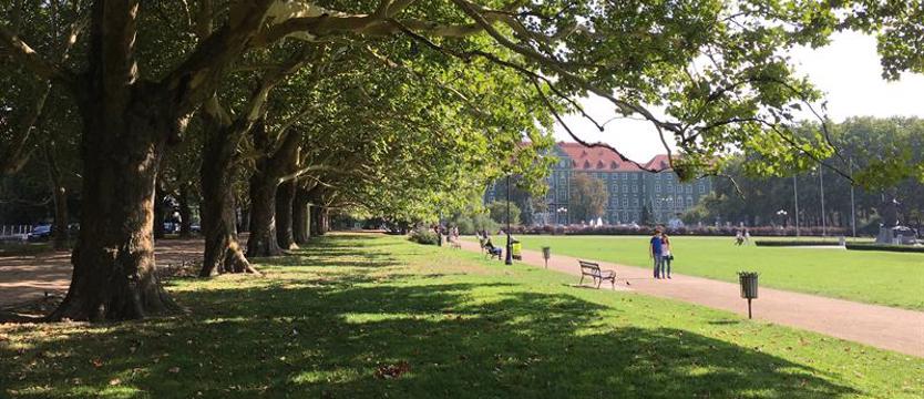 Spisz się na Jasnych Błoniach podczas długiego weekendu