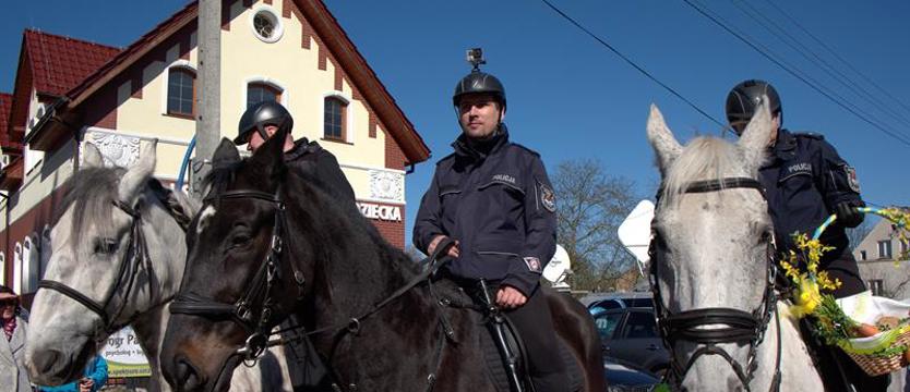Powstaną klasy o profilu „policji konnej”