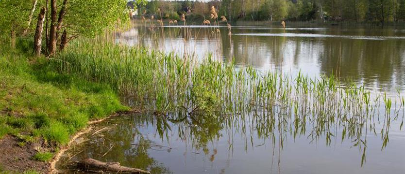 Pętla Głębokie – na starcie. Oko na podmiejską zieleń