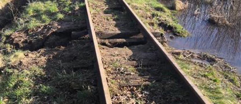Jak nie złodzieje, to bobry. Na trasie wąskotorówki zawsze coś się dzieje